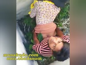 ညိုကီတွေကို‌ဆော်လိုးပြတဲ့ဘဲ